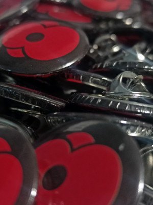 Pin DEN VÁLEČNÝCH VETERÁNŮ
