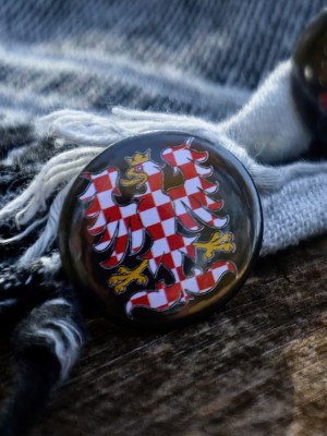 Pin MORAVSKÁ ORLICE